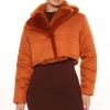 Fashion Nob Winter Blowout By The Fireplace Cropped Jacket - Rust